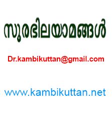 malayalam aunty mulai|Kambikuttan kambistories – Malayalam Kambikathakal .